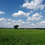 Bekperle * Bekdorf