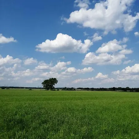 Bekperle * Bekdorf