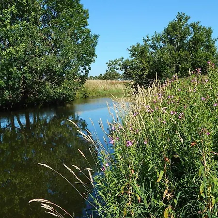 Bekperle *